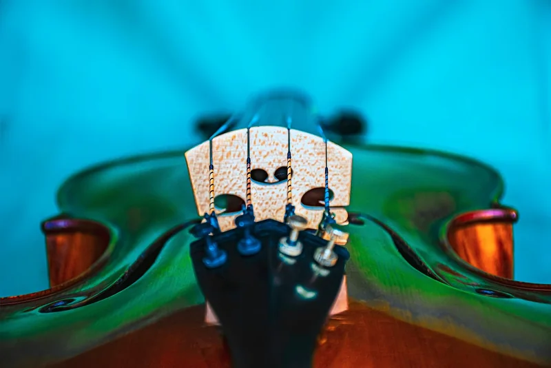 Quels genres musicaux montent en 2026 ?