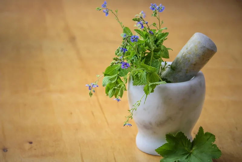 Nettoyant écologique : mon expérience maison