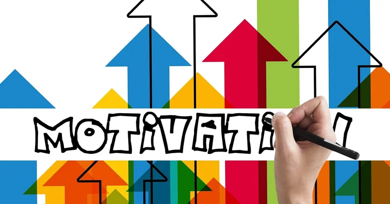 Conseils pratiques pour les proches