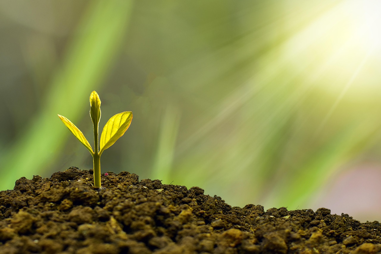 découvrez les clés du succès : conseils, stratégies et inspirations pour atteindre vos objectifs personnels et professionnels et vivre une vie épanouie.